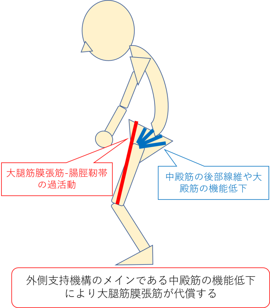 膝oaに対するリハビリについて 膝oaの病態から考える治療戦略 理学療法士が作る 膝関節 の勉強部屋