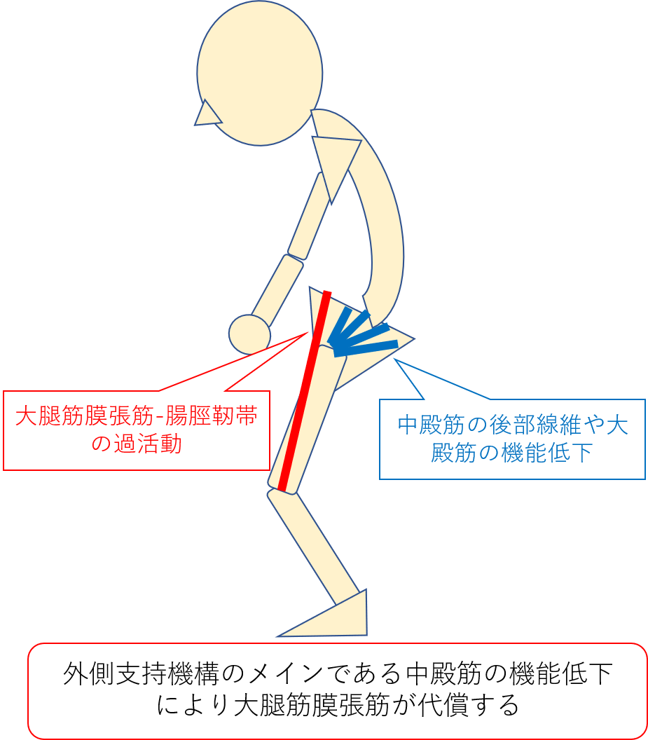 膝OAに対するリハビリについて～膝OAの病態から考える治療戦略～ | 理学療法士が作る「膝関節」の勉強部屋